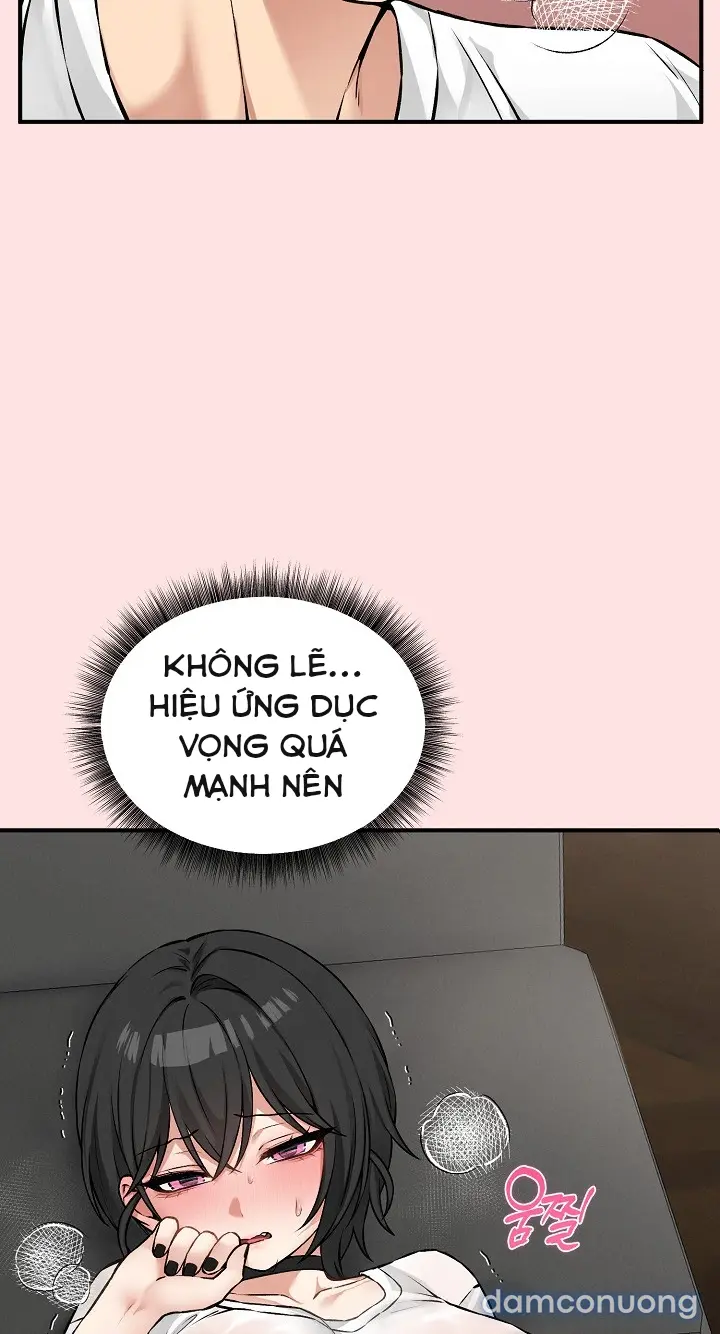 Trò chơi cờ bàn thú vị: 