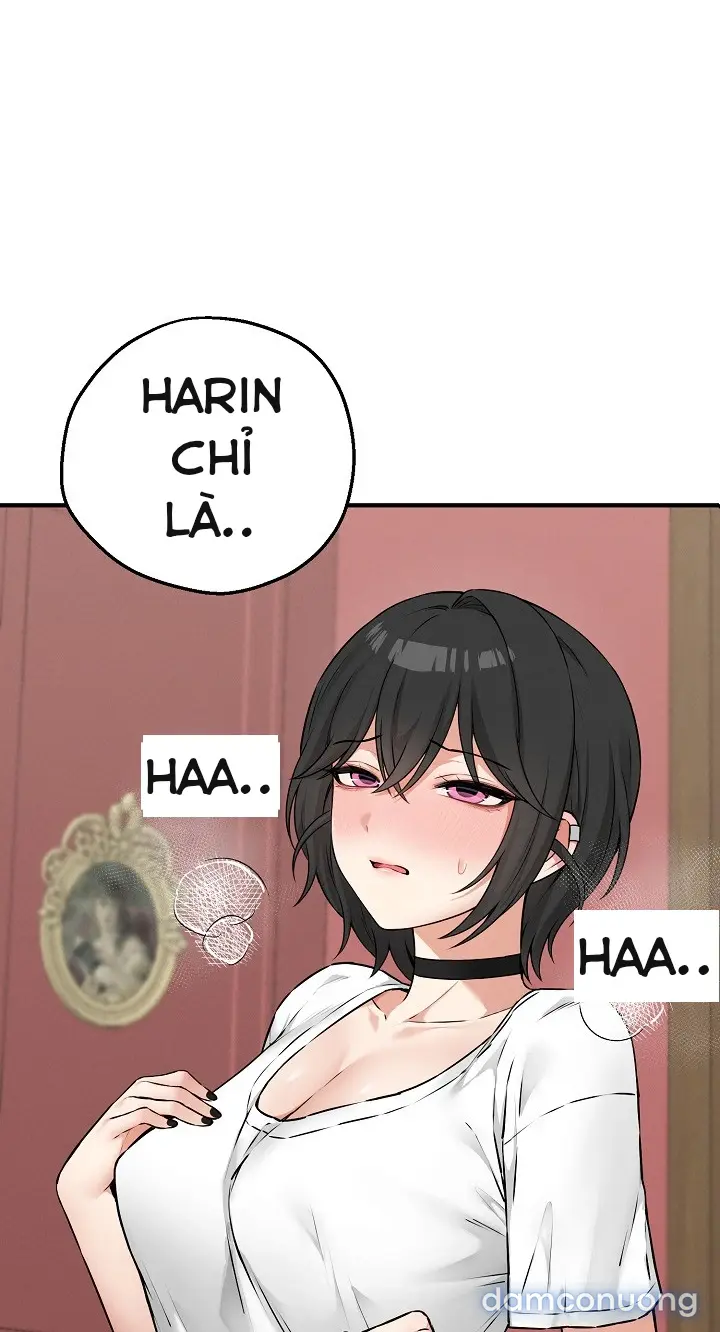 Trò chơi cờ bàn thú vị: 