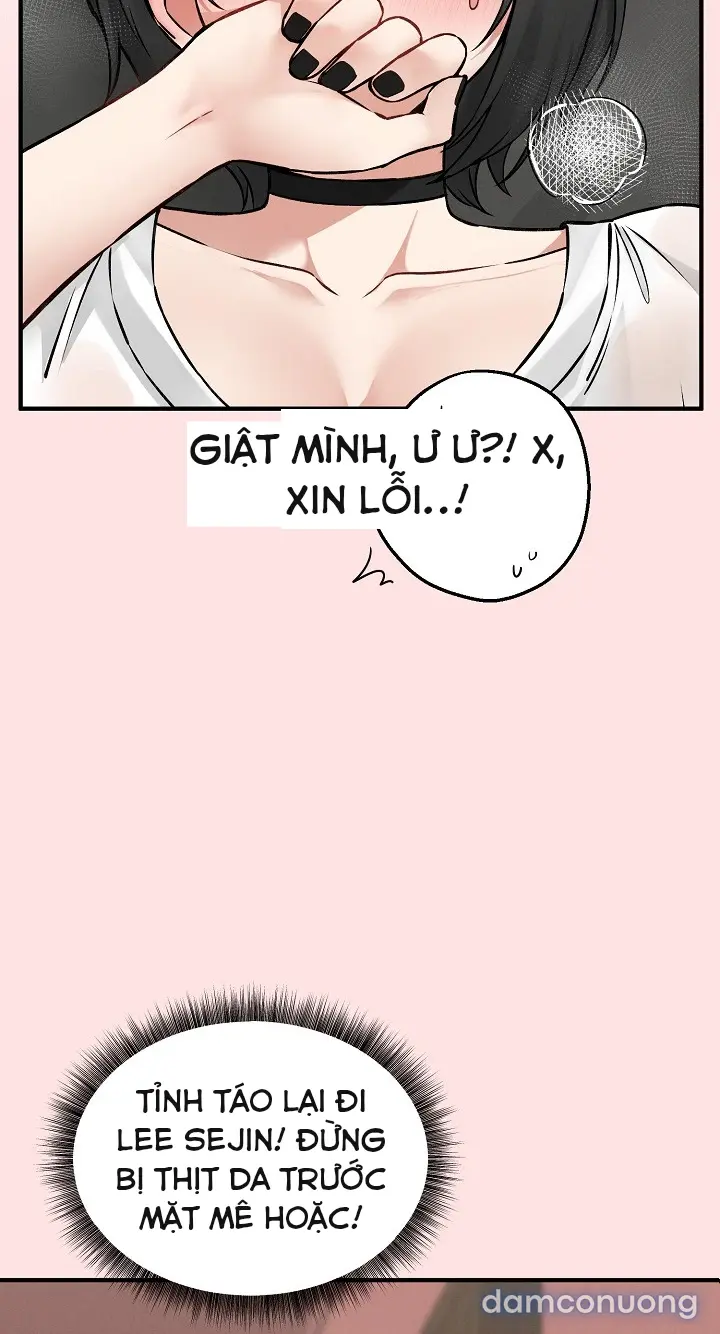Trò chơi cờ bàn thú vị: 