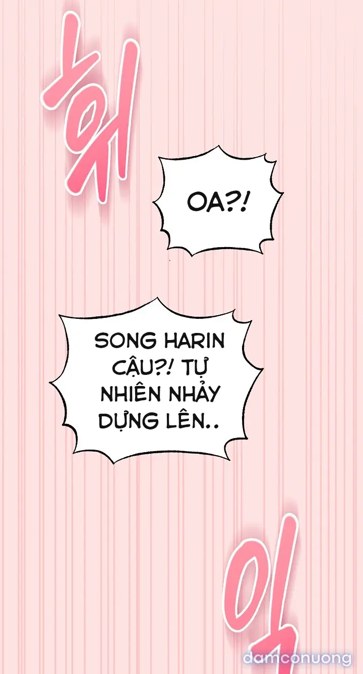 Trò chơi cờ bàn thú vị: 