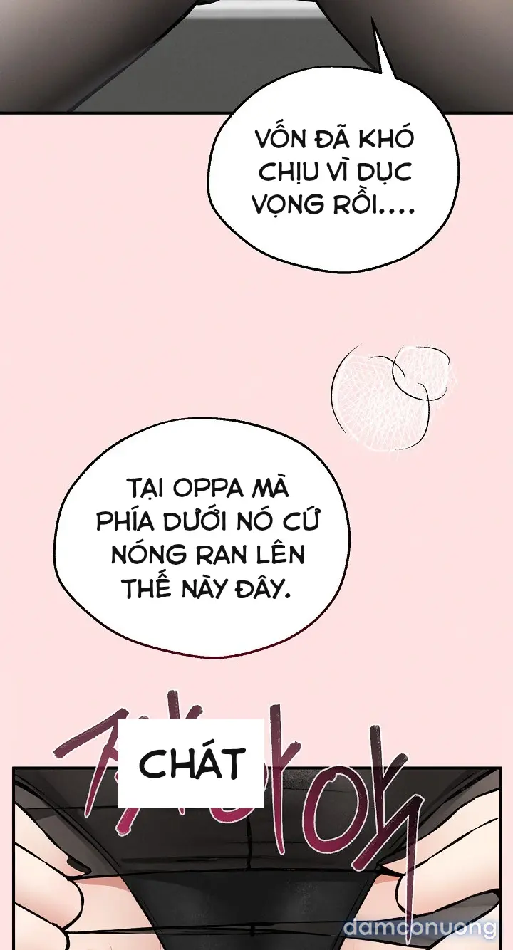 Trò chơi cờ bàn thú vị: 