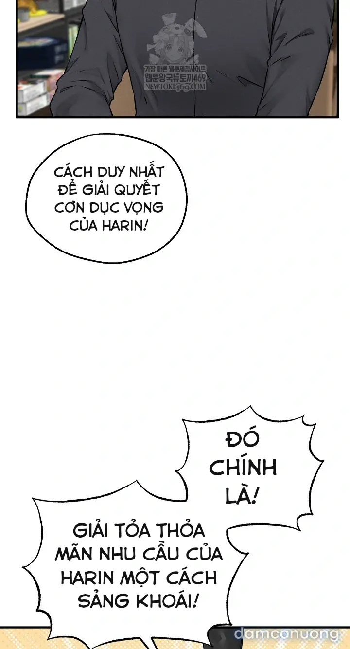 Trò chơi cờ bàn thú vị: 