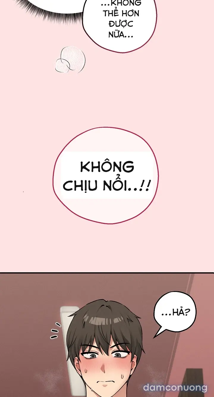 Trò chơi cờ bàn thú vị: 