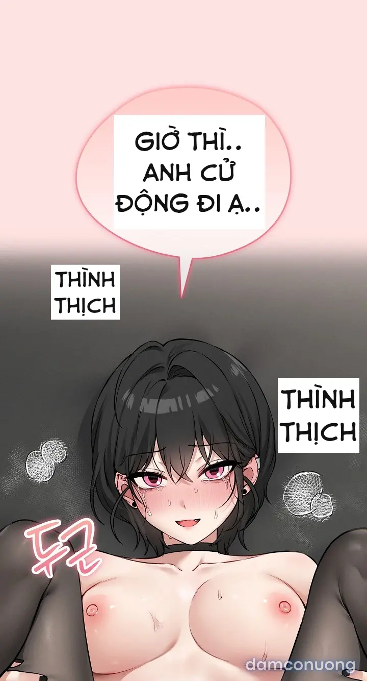 Trò chơi cờ bàn thú vị: 
