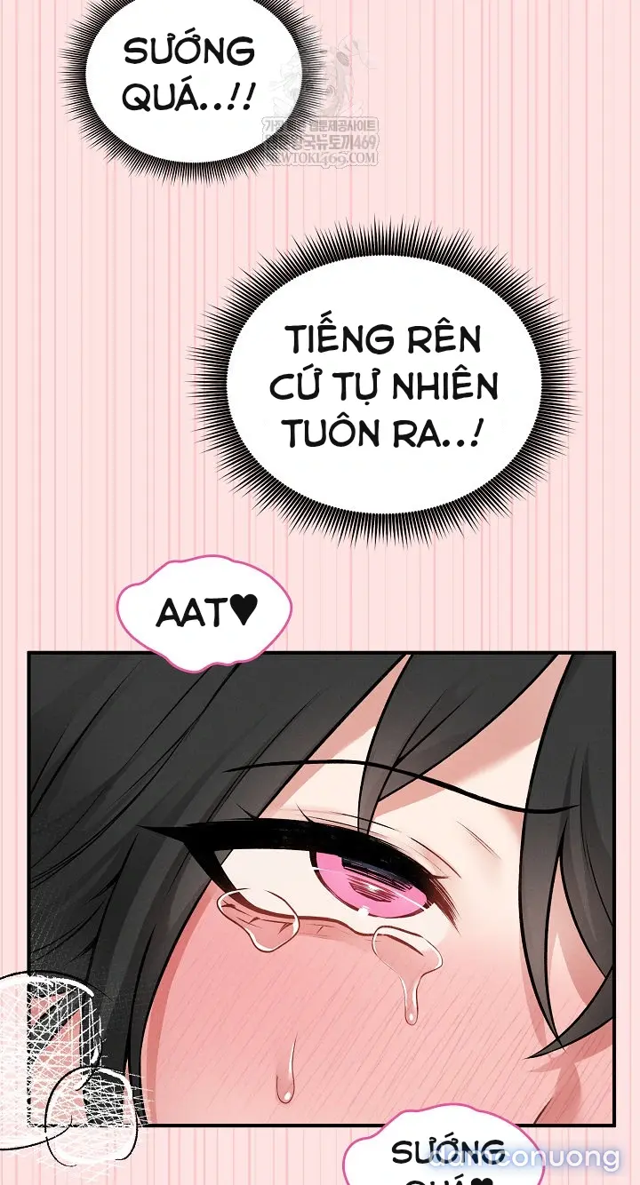 Trò chơi cờ bàn thú vị: 