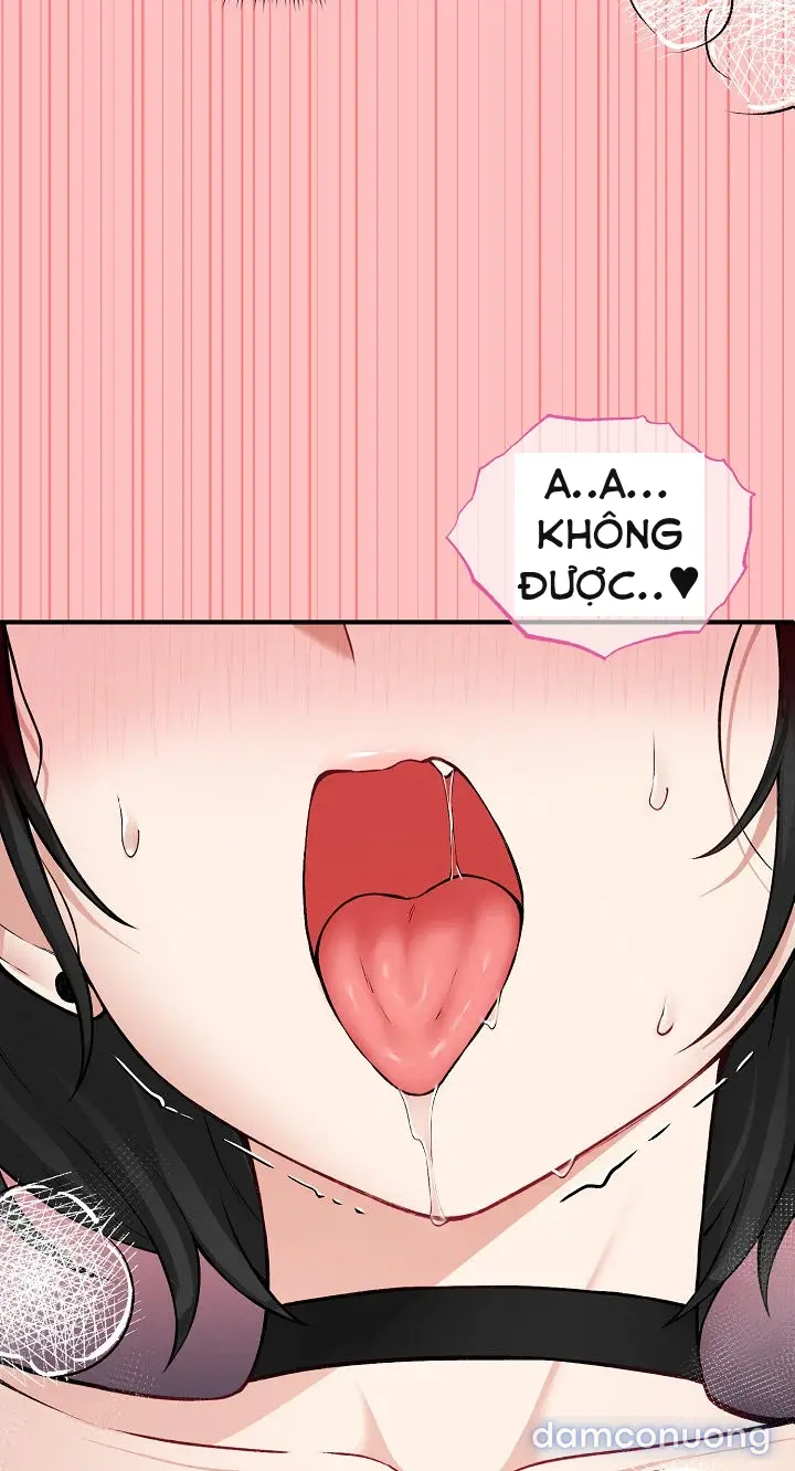 Trò chơi cờ bàn thú vị: 