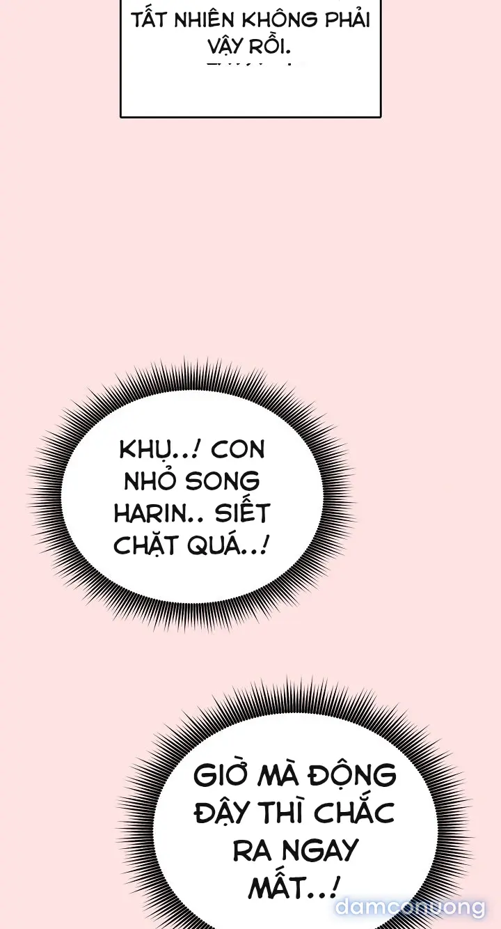 Trò chơi cờ bàn thú vị: 