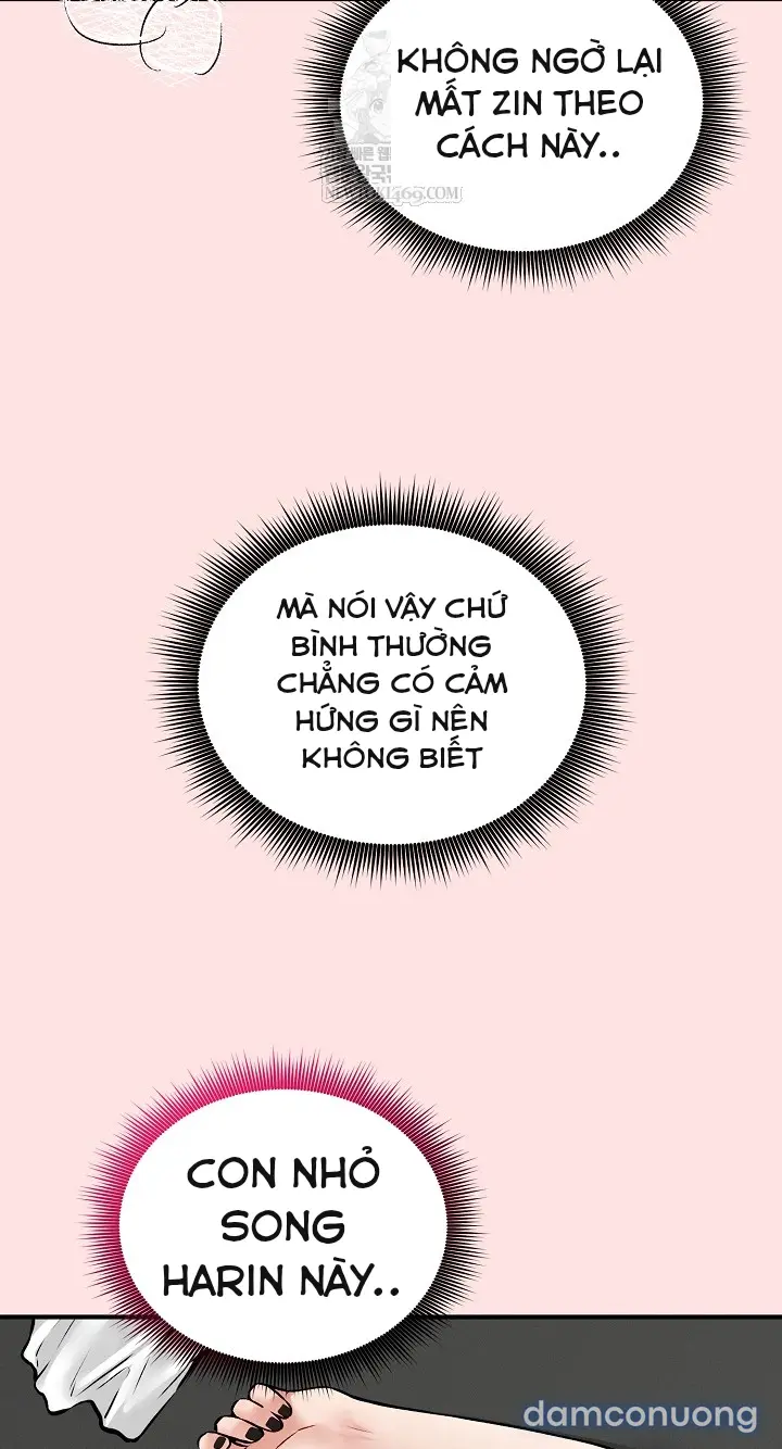 Trò chơi cờ bàn thú vị: 