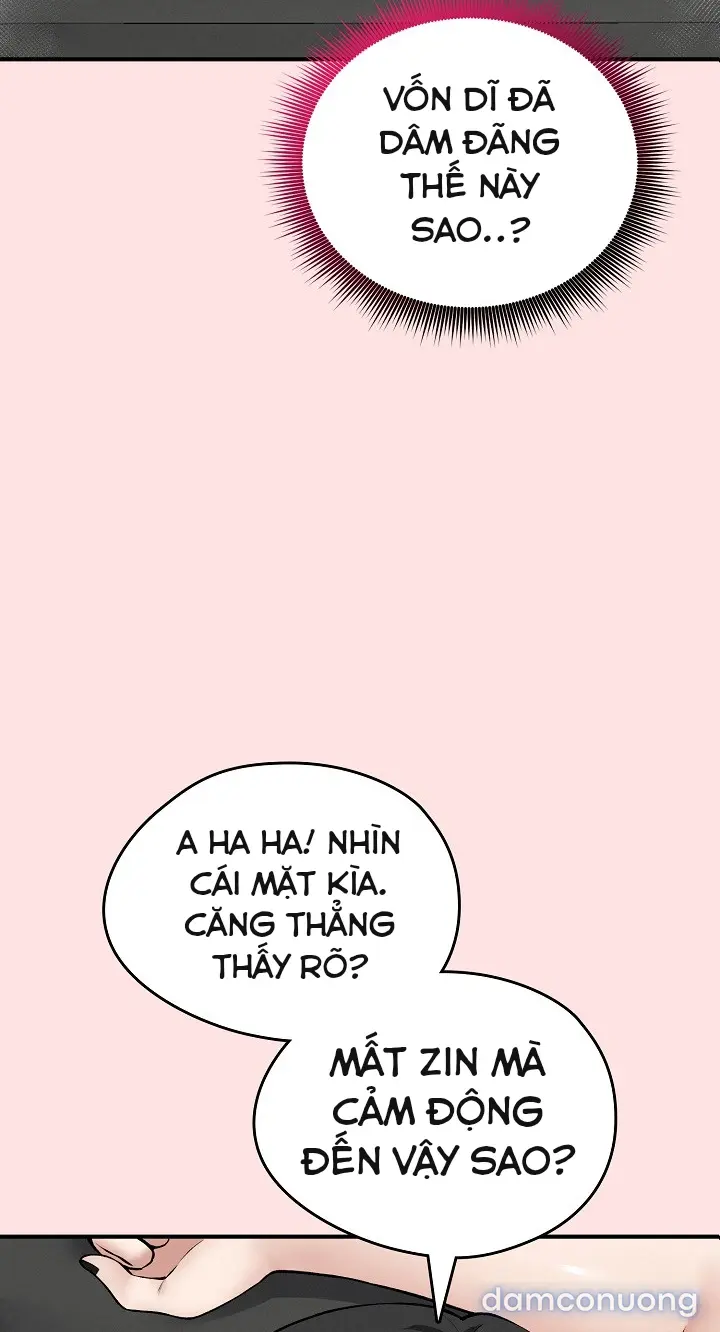 Trò chơi cờ bàn thú vị: 