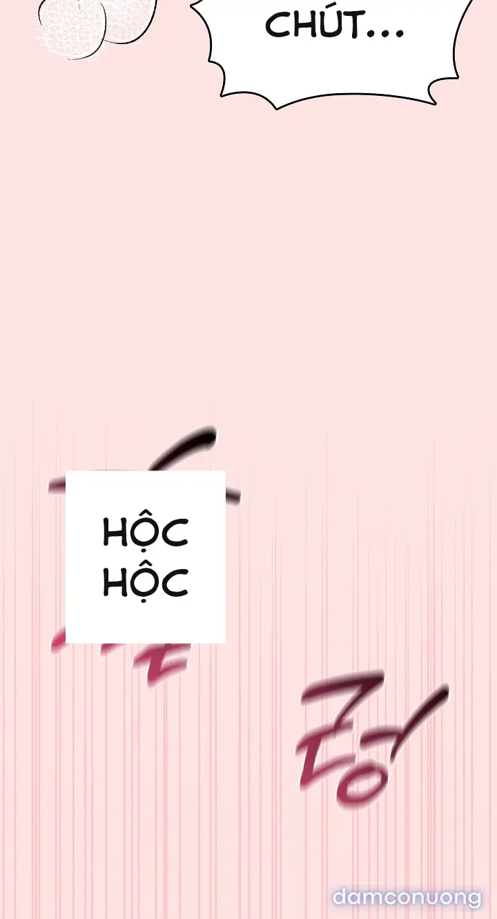 Trò chơi cờ bàn thú vị: 
