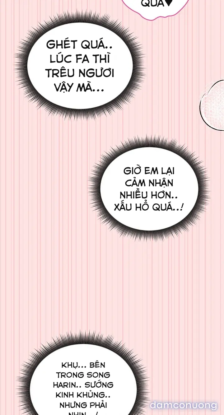 Trò chơi cờ bàn thú vị: 