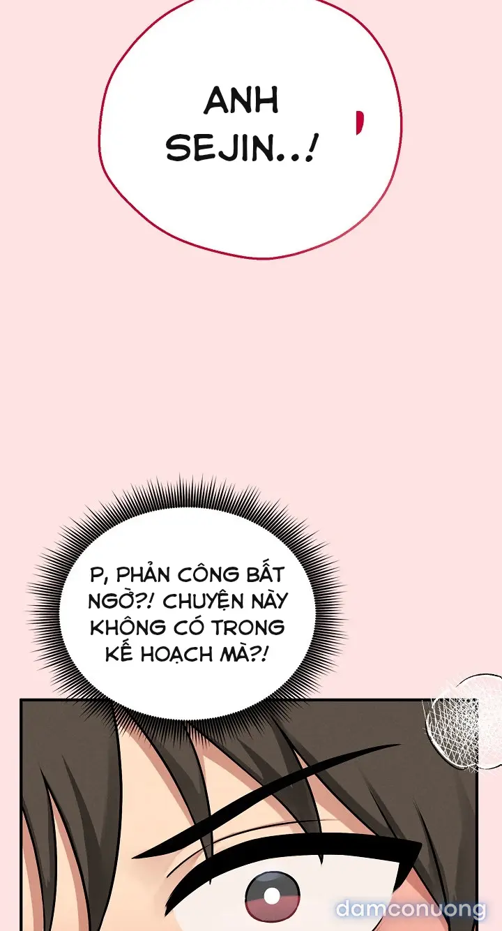 Trò chơi cờ bàn thú vị: 