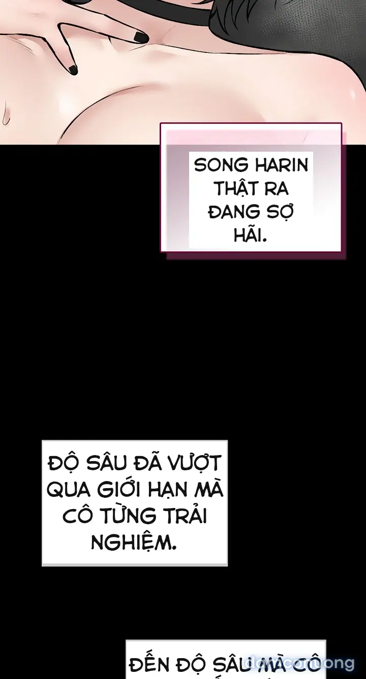 Trò chơi cờ bàn thú vị: 
