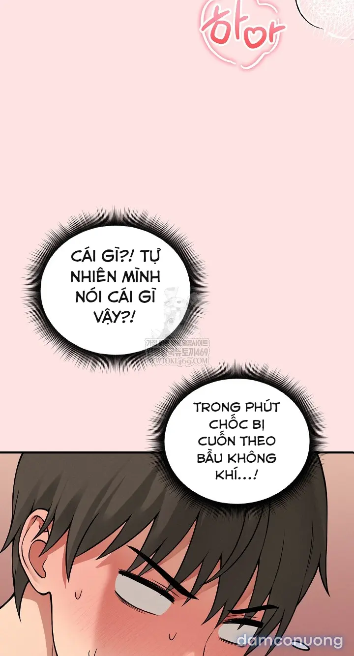 Trò chơi cờ bàn thú vị: 
