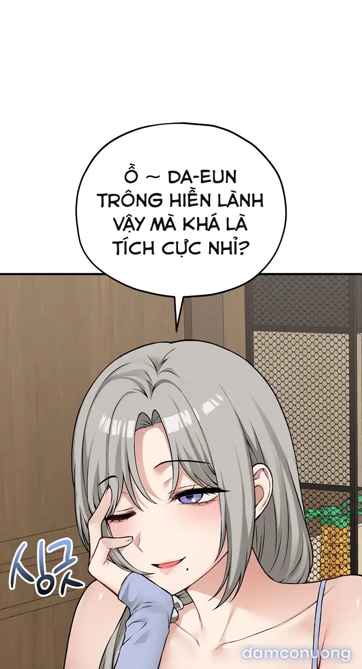 Trò chơi cờ bàn thú vị: 