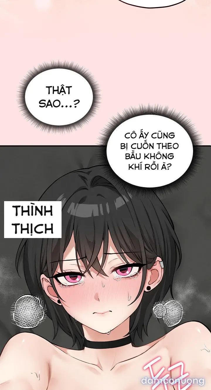 Trò chơi cờ bàn thú vị: 