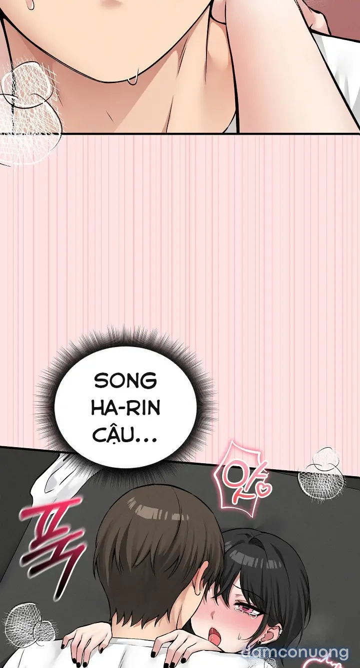 Trò chơi cờ bàn thú vị: 