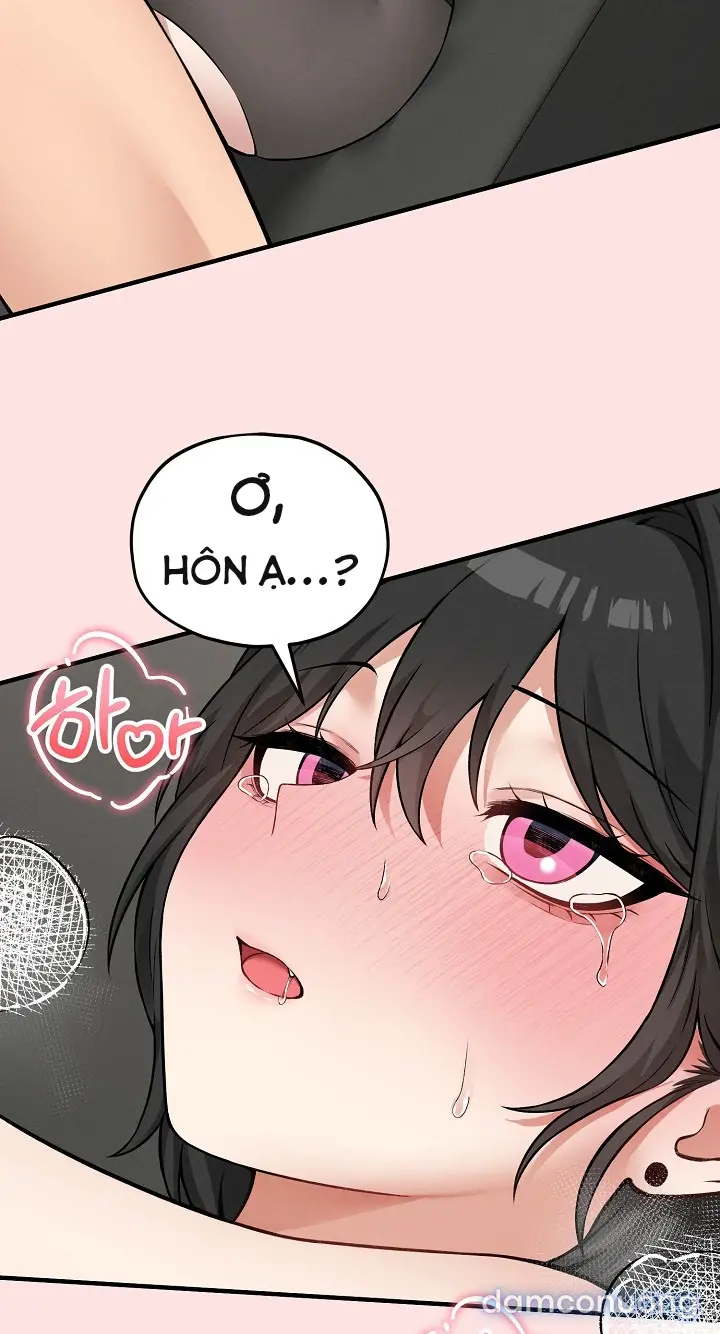 Trò chơi cờ bàn thú vị: 