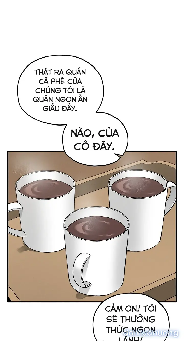 Trò chơi cờ bàn thú vị: 