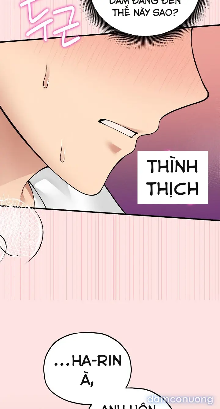 Trò chơi cờ bàn thú vị: 
