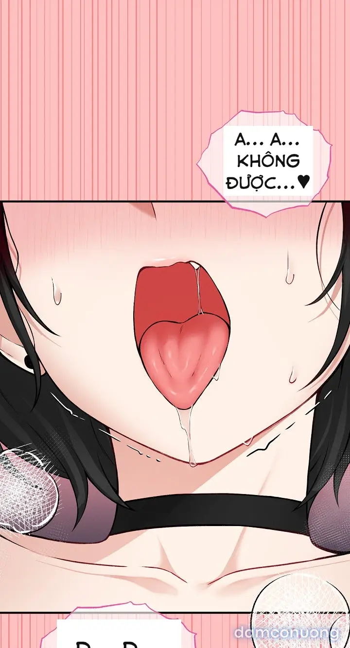 Trò chơi cờ bàn thú vị: 
