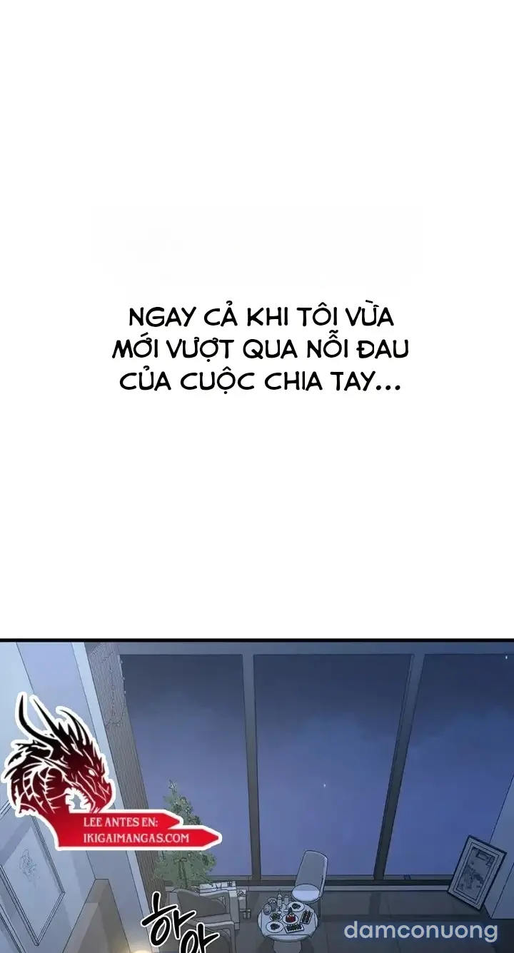 Mẫu người lý tưởng của tôi là mẹ của bạn 