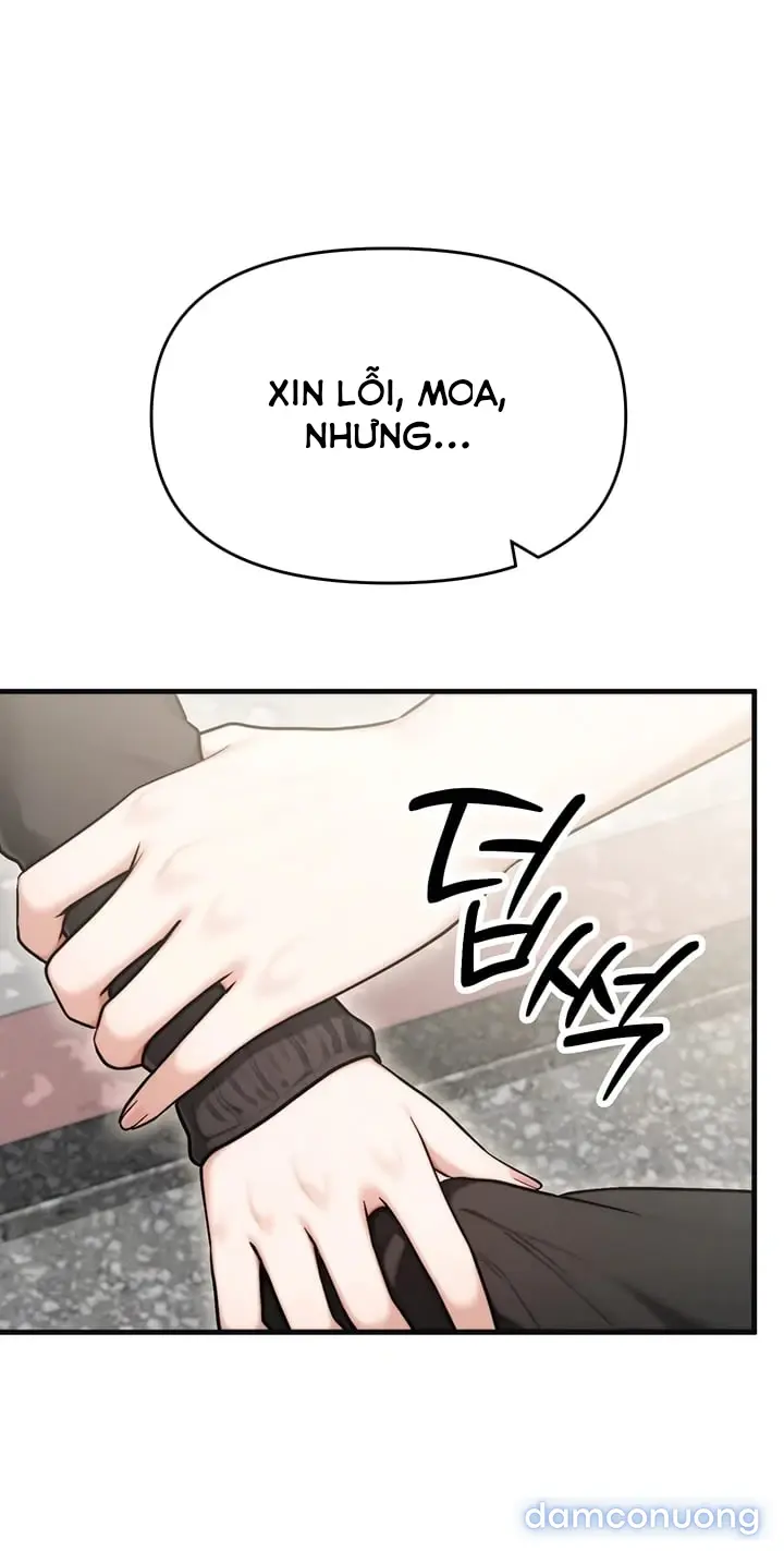 Mẫu người lý tưởng của tôi là mẹ của bạn 