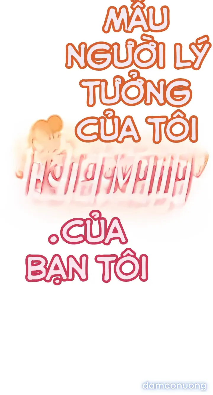 Mẫu người lý tưởng của tôi là mẹ của bạn 