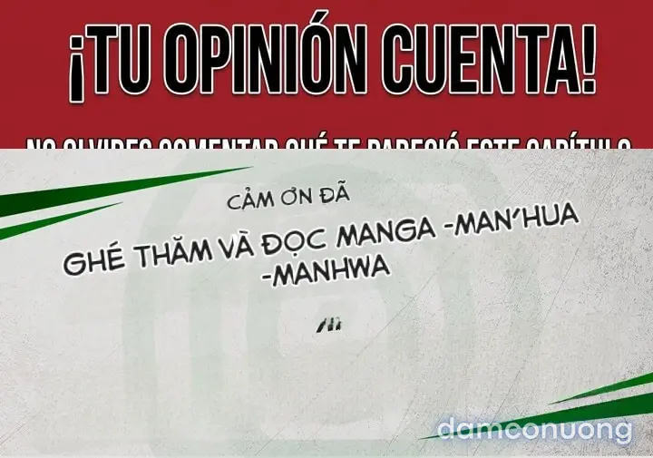 Mẫu người lý tưởng của tôi là mẹ của bạn 