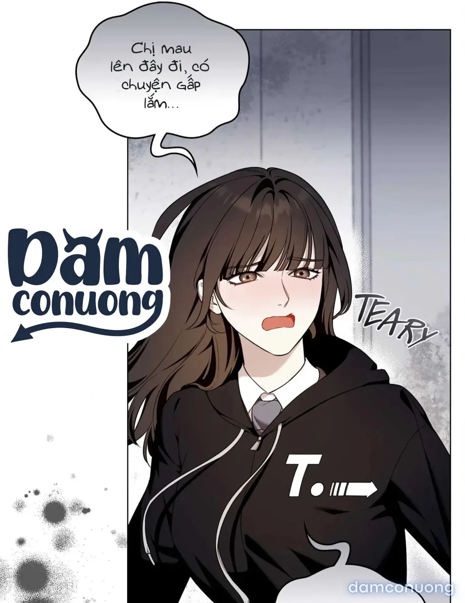 Mối Tình Sóng Gió 