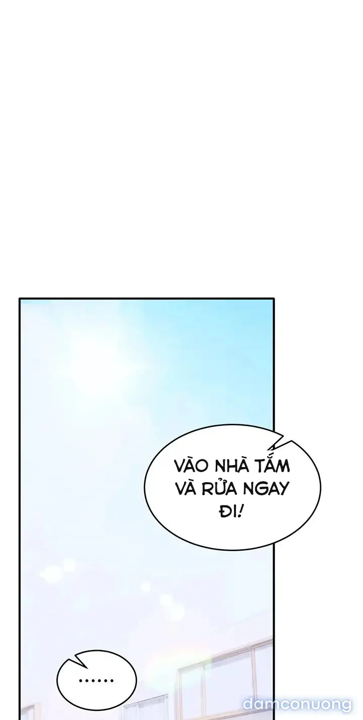 Tôi yêu bạn rất nhiều 