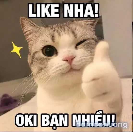 Nhật ký dạy dỗ dâm dục ở dị giới 