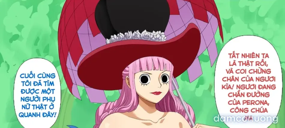 [ One Piece] seri truyện 