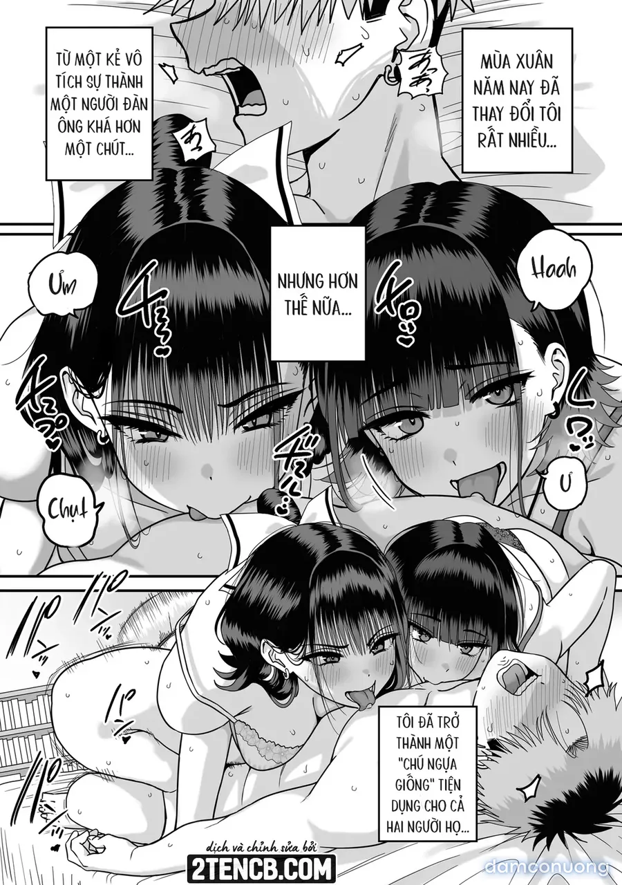 Dàn harem nơi không ai được đáp lại tình cảm 