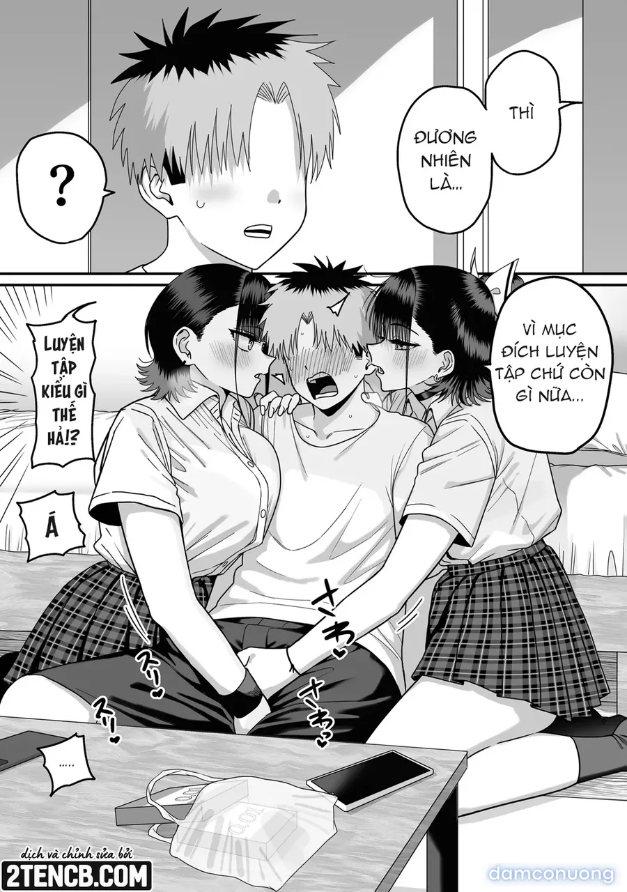 Dàn harem nơi không ai được đáp lại tình cảm 