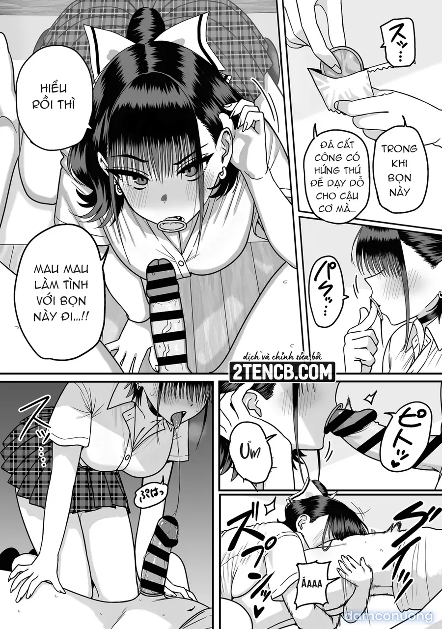 Dàn harem nơi không ai được đáp lại tình cảm 