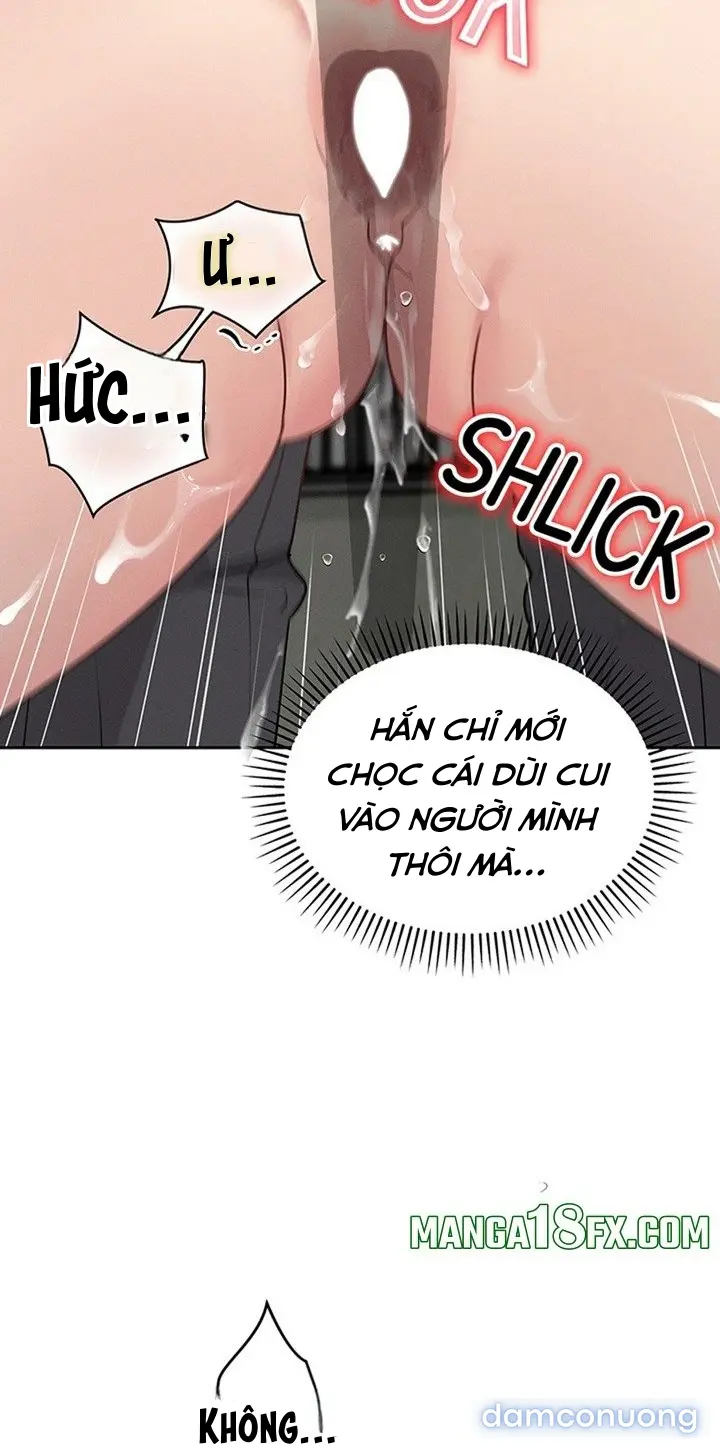 Hình Phạt TS 