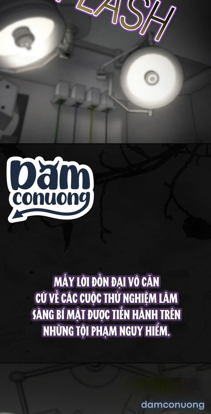 Hình Phạt TS 