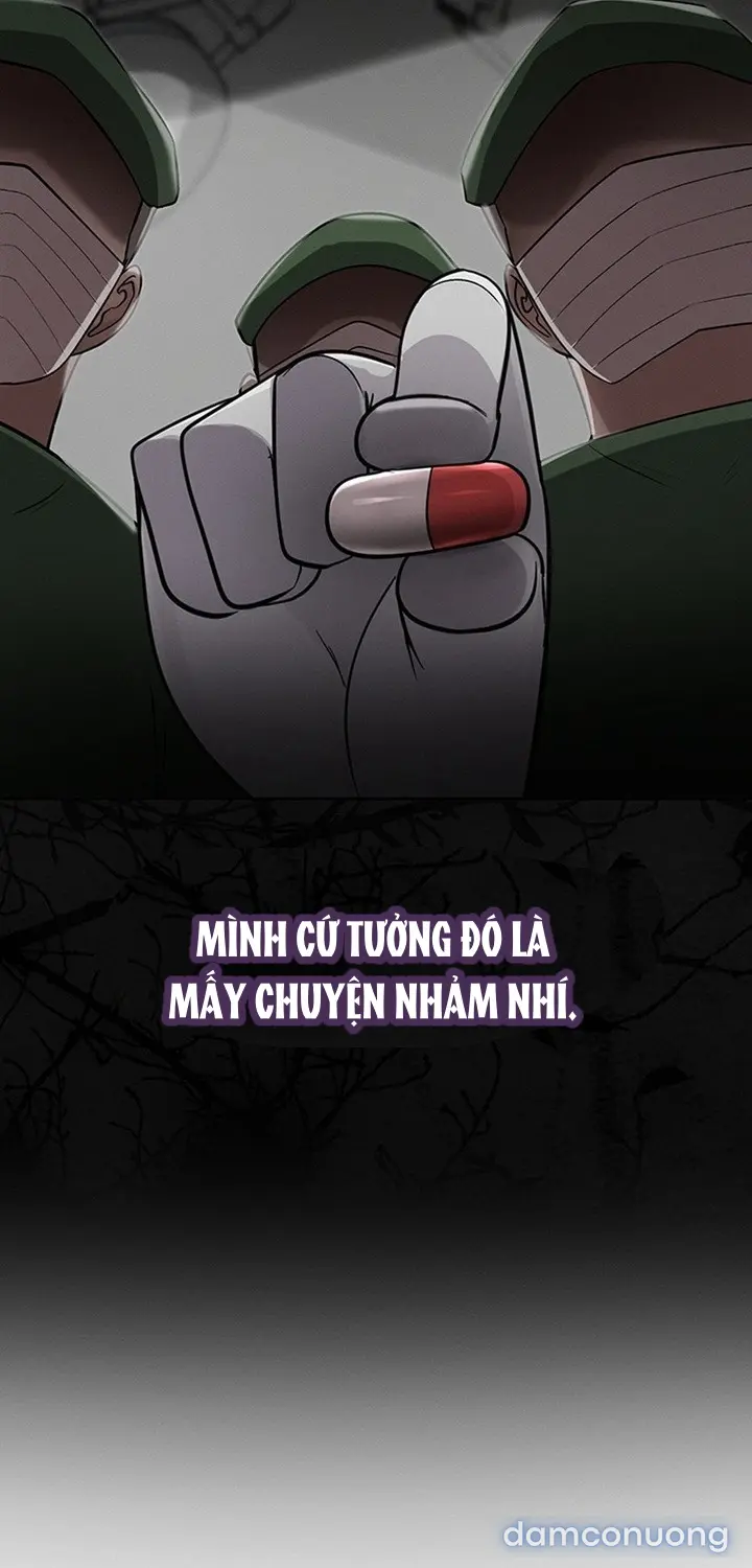 Hình Phạt TS 
