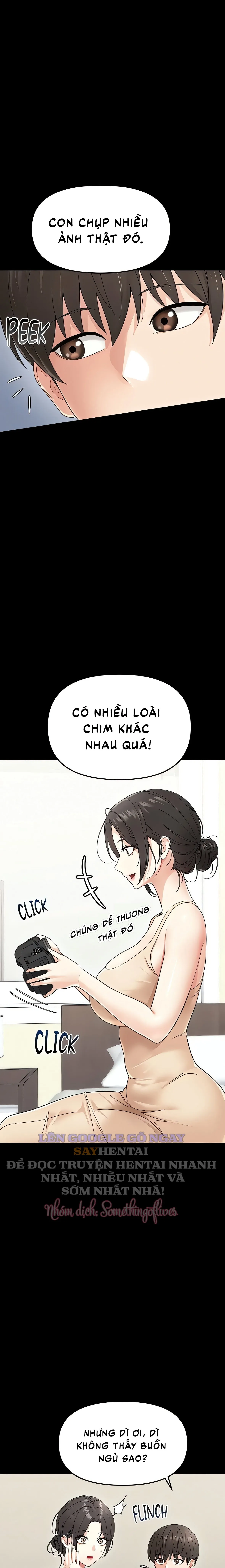 Tiểu Dã Thú 