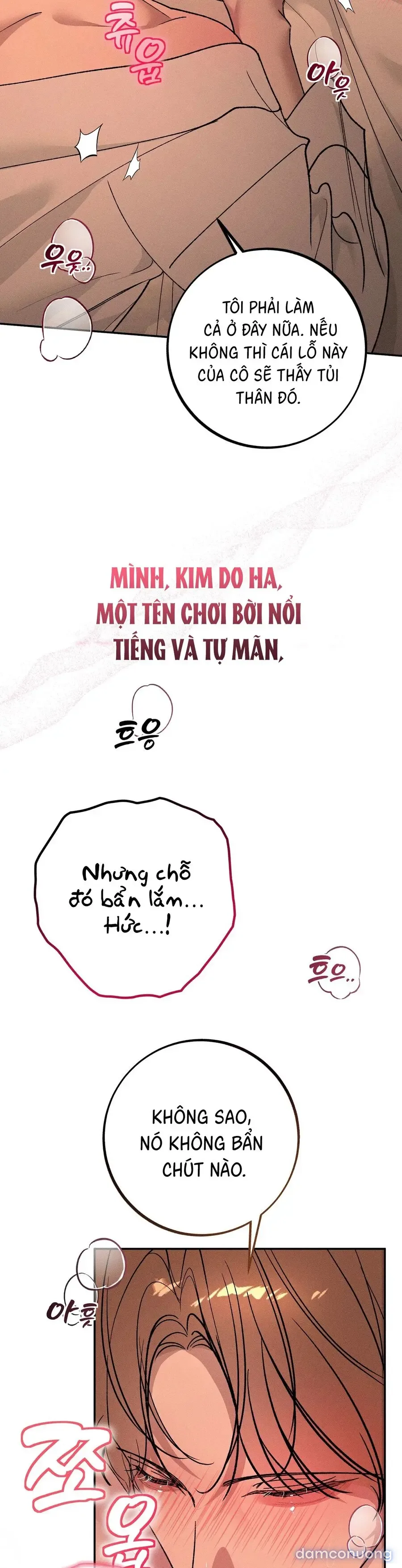 Tình Yêu Tái Sử Dụng 