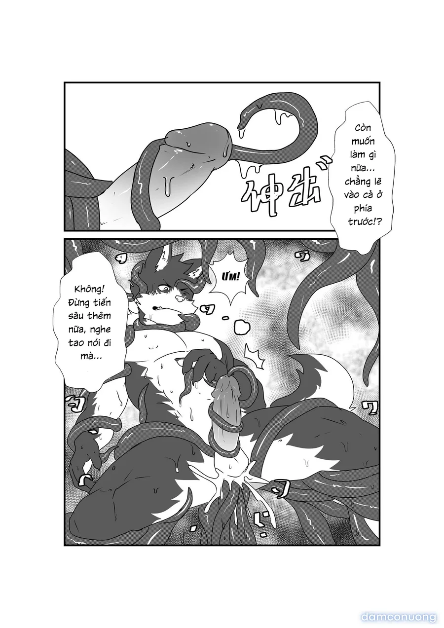 Tổng các bộ furry của khách. 