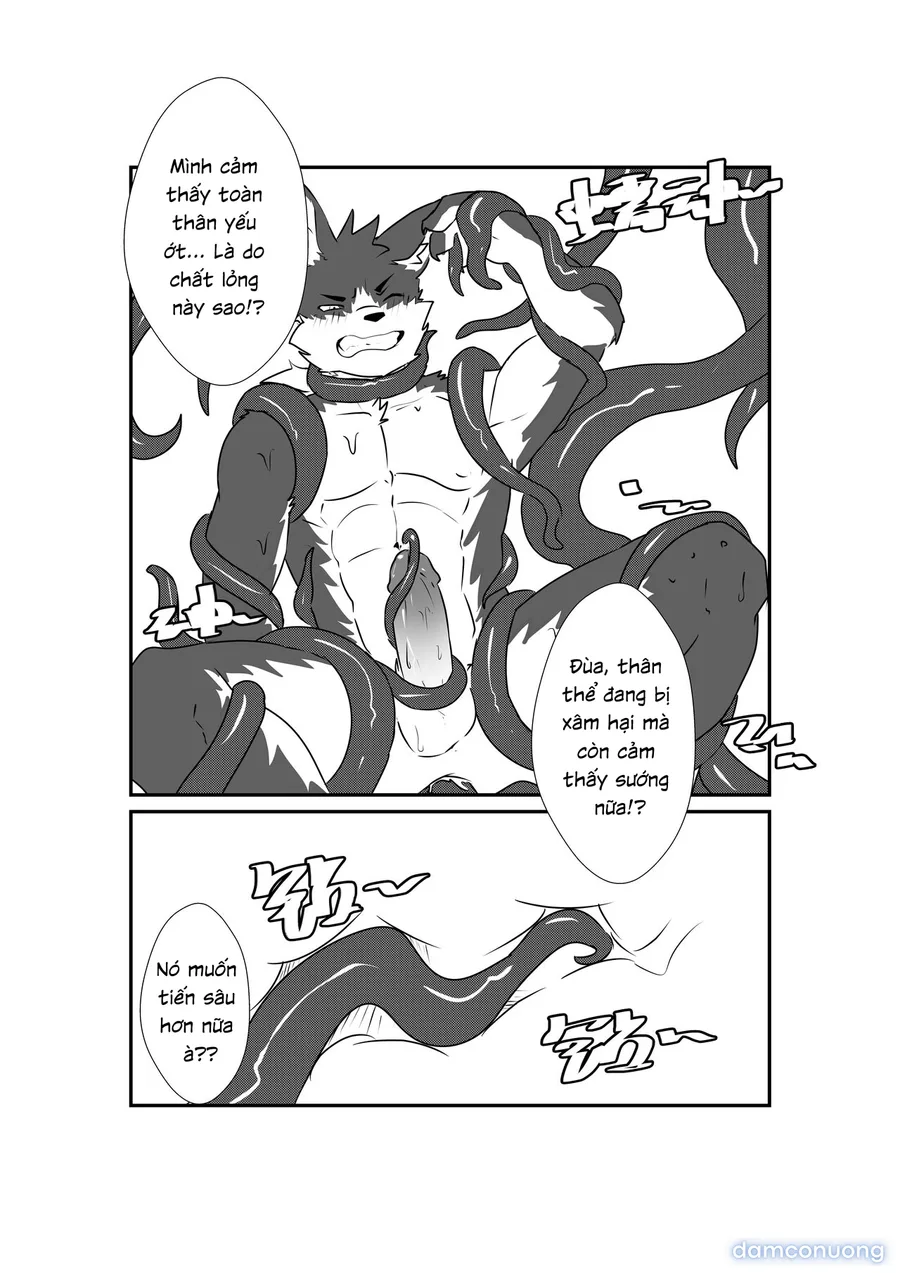 Tổng các bộ furry của khách. 