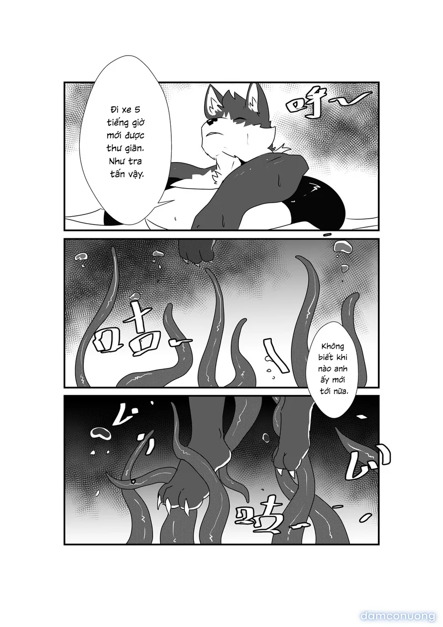 Tổng các bộ furry của khách. 
