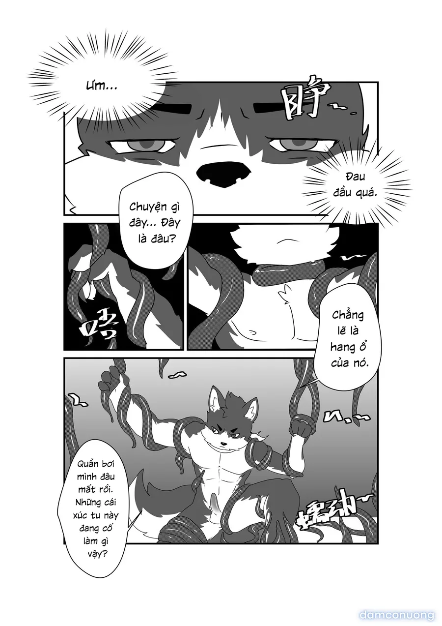 Tổng các bộ furry của khách. 
