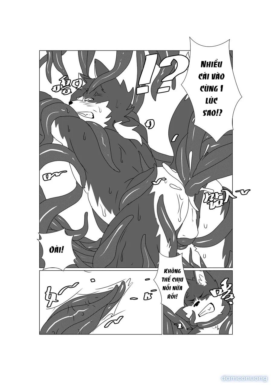 Tổng các bộ furry của khách. 