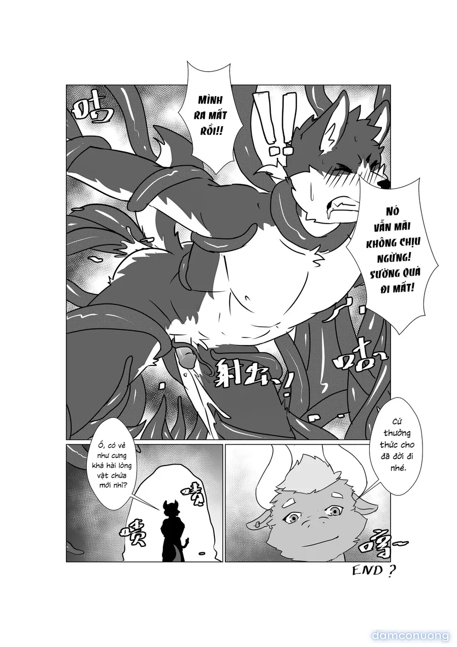 Tổng các bộ furry của khách. 