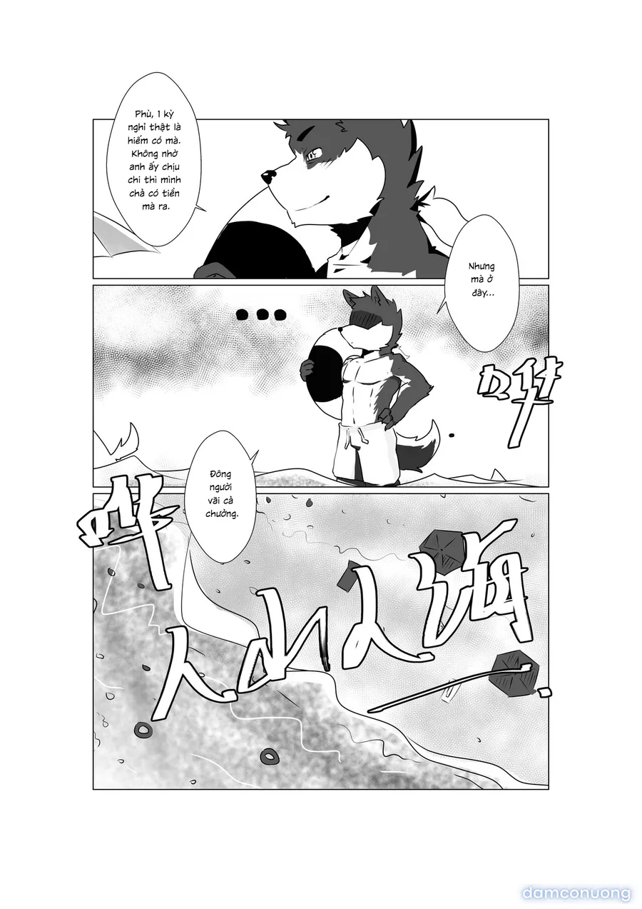 Tổng các bộ furry của khách. 