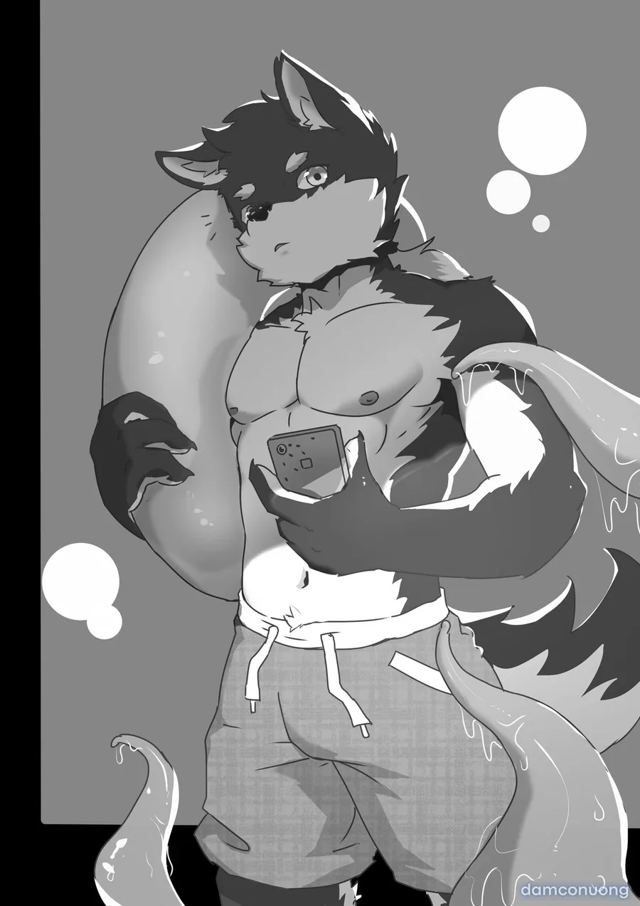 Tổng các bộ furry của khách. 
