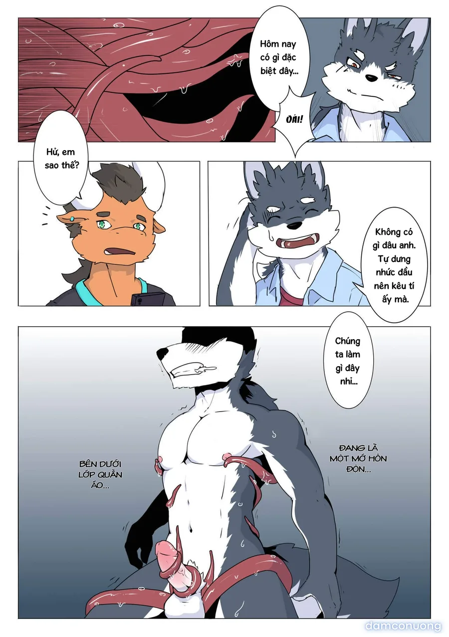 Tổng các bộ furry của khách. 